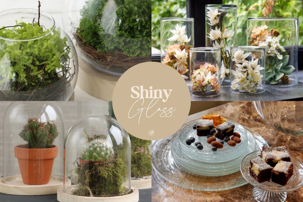 Shiny Glass collection: glass terrariums, cloches, cylinder vases and serving plates